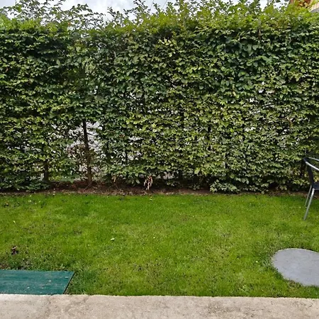 V Královském údolí *